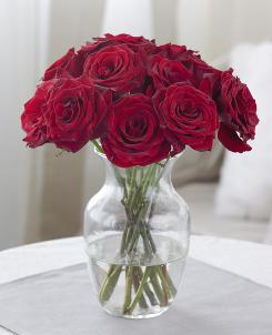 Rose image Roses